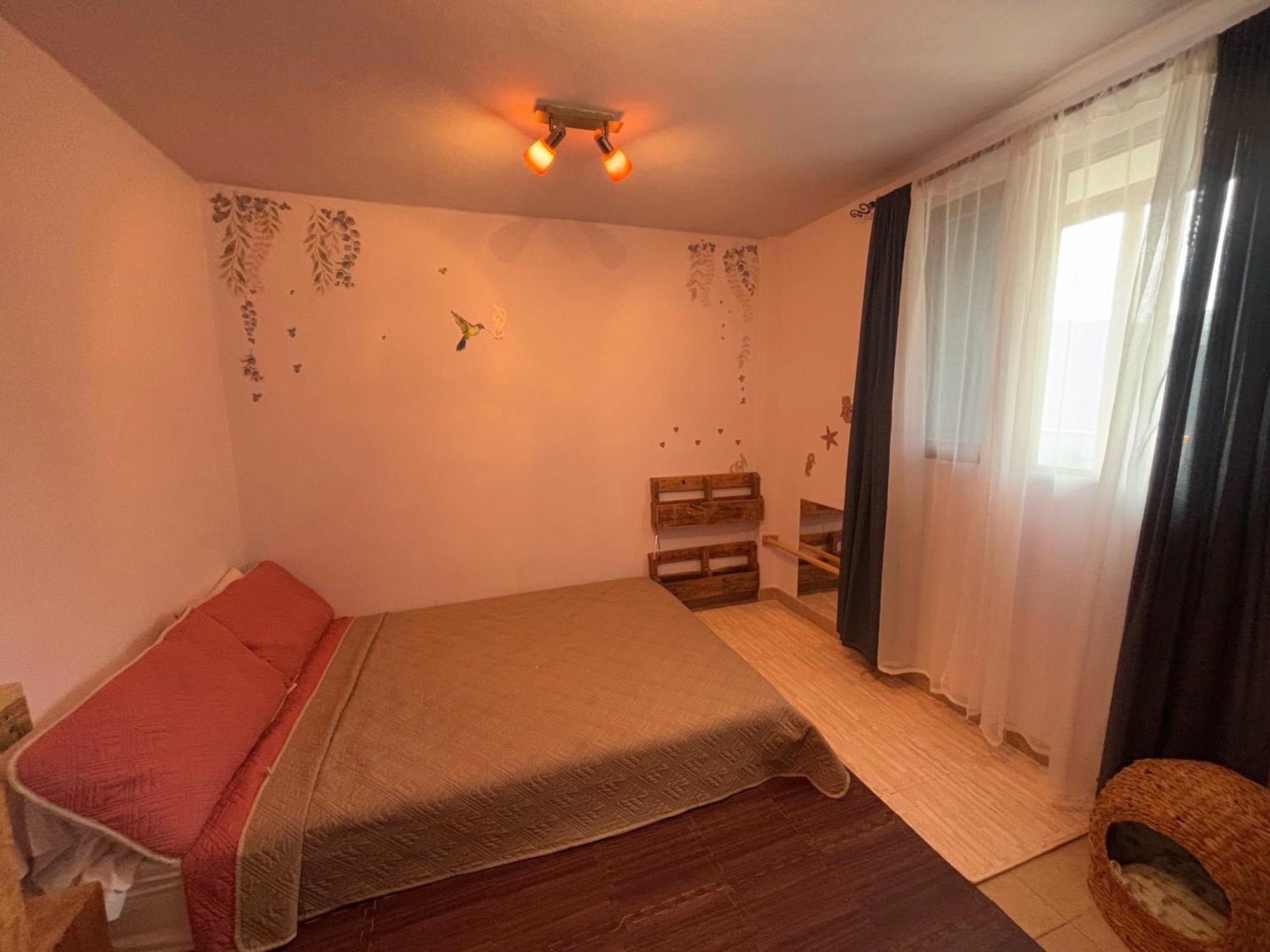 Apartament Casa Piedro Puerto Morelos Zewnętrze zdjęcie